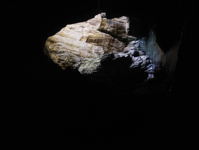 s fesitavala izdavacke kuce Sanje - priroda